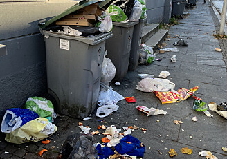 Slik så det ut før søppeldunkene foran huset ble fjernet