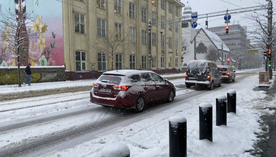 I januar i år var det mer snø enn vanlig, men det forsvant lenge før vinterferien.