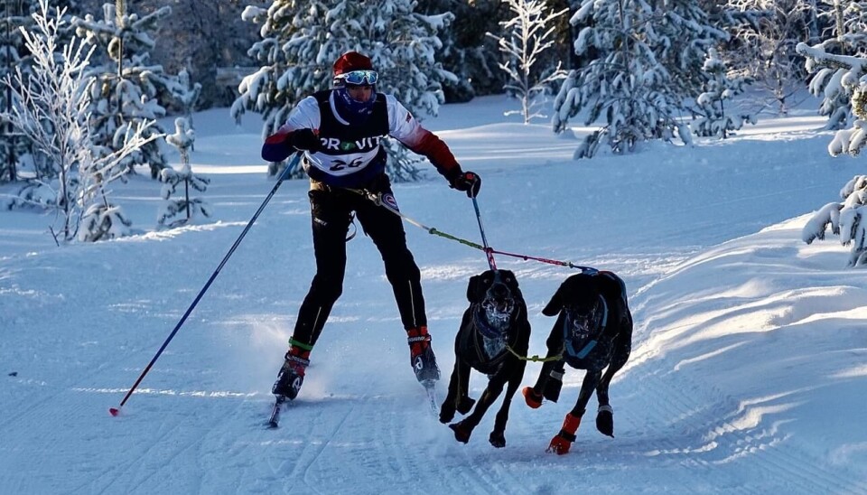 Det er høy fart når Julian snørekjører på ski. julian på ski