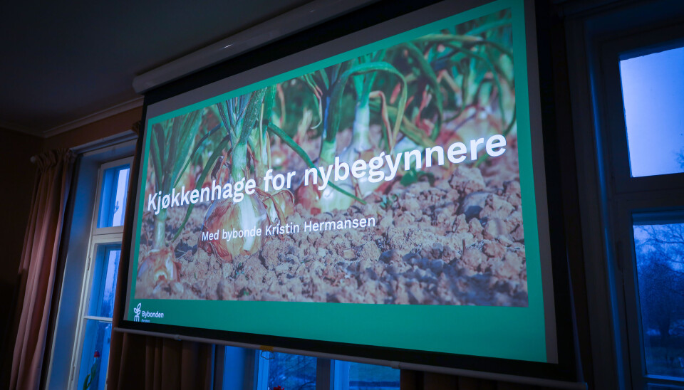 Onsdag 13.mars hald bybonde Kristin Hermansen dyrkingskurs for nybegynnarar.