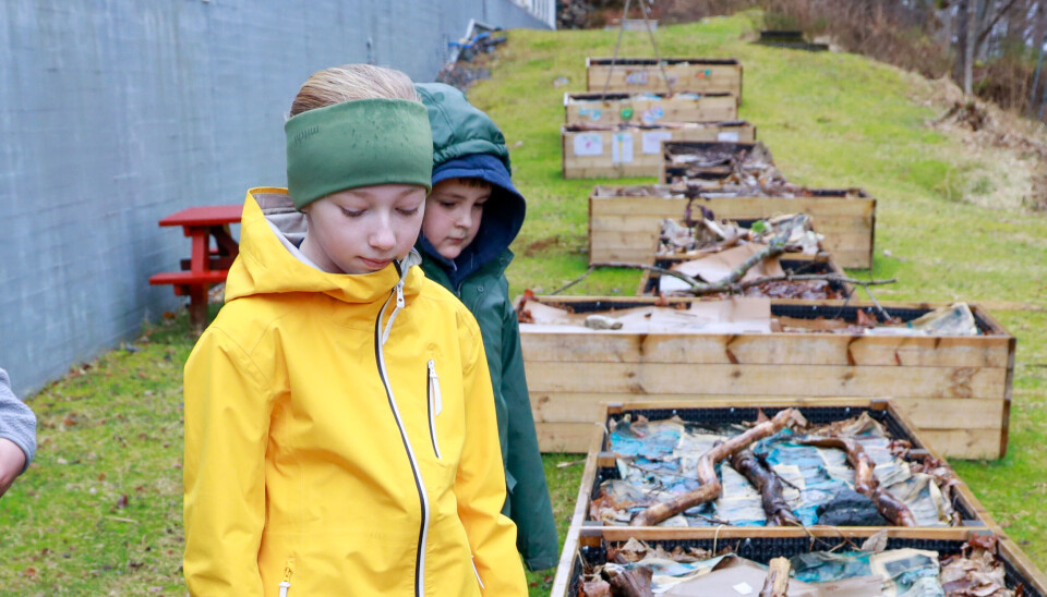 Nikoline (gul jakke) synes det er trist at andre skoler ikke får søke om midler for å få skolehage.