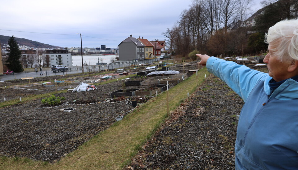 Astrid peker bort der det var 12 boliger før bybanen til Fyllingsdalen kom.