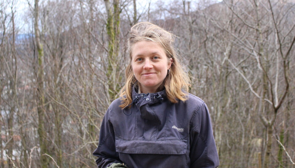 Hver mandag er Benedicte Brun i Matskogen og jobber.