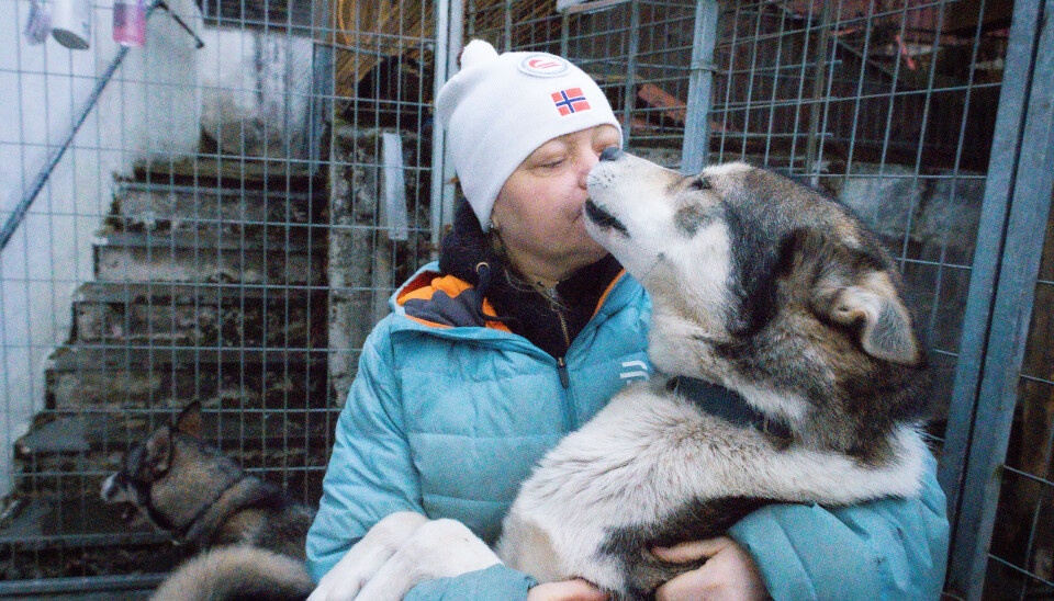 – De er babyene mine, og jeg selger dem ikke hvis jeg ikke må. Her sammen med 'Tjukken' - en hannhund på nesten 30 kilo.