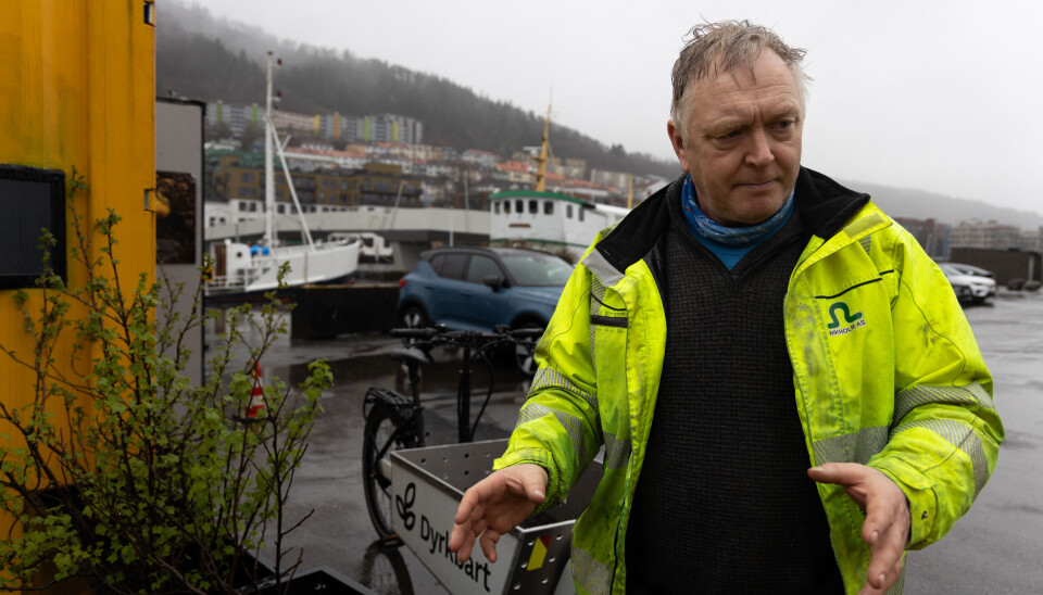 Stein Wikholm jobber til vanlig som anleggsmester. Dyrkbart har noen betalte ansatte, men for han er det bare blitt en dyr hobby tross at han er eier.