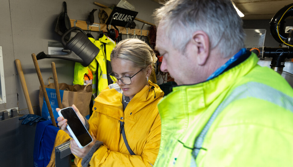 Stein Wikholm er oppgitt over at butikken i videoen ikke engang har sortert plast, papir og mat fra hverandre i dumpingen sin.