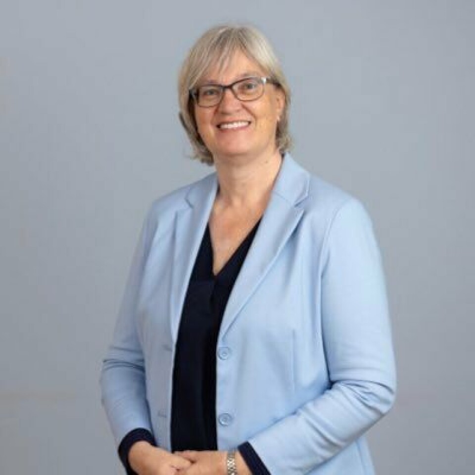 Kristin Strømsnes, statsviter og professor ved Institutt for sammenliknende politikk.