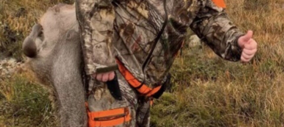 Raser mot forbud: — Tull!