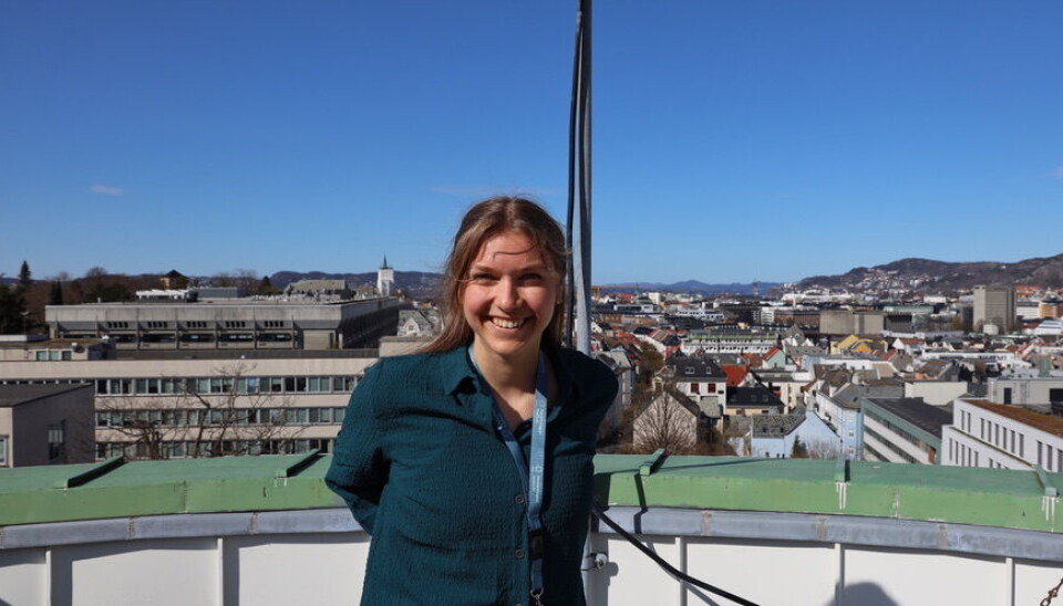 STATSMETEOROLOG: Johanne Ordahl står på toppen av meteorologisk institutt.